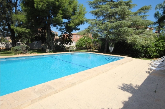 Finca in Ondara zur Ferienvermietung, Living area 360 m², Baujahr 1983, Plot 2200 m², 4 Schlafzimmer, 4 Badezimmer, ref.: V-0517-4