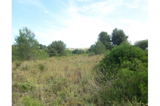 Wohngrundstück in Moraira(Alcazar) zu verkaufen, Klimaanlage, Plot 20000 m², Pool, ref.: BI-MT.G-184-4