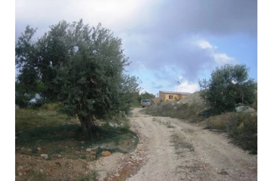 Finca in Benissa(Partida Canor) zu verkaufen, Living area 60 m², Klimaanlage, Plot 17000 m², Pool, ref.: BI-BE.F-163-11