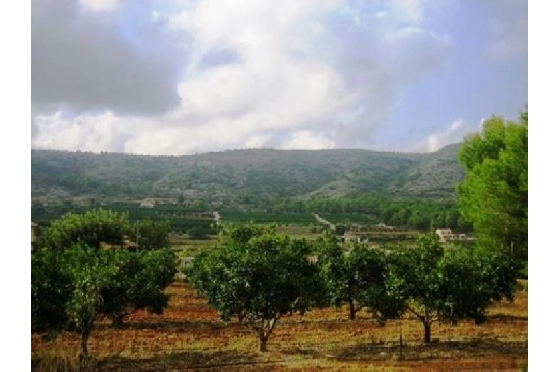Finca in Benissa(Partida Canor) zu verkaufen, Living area 60 m², Klimaanlage, Plot 17000 m², Pool, ref.: BI-BE.F-163-2