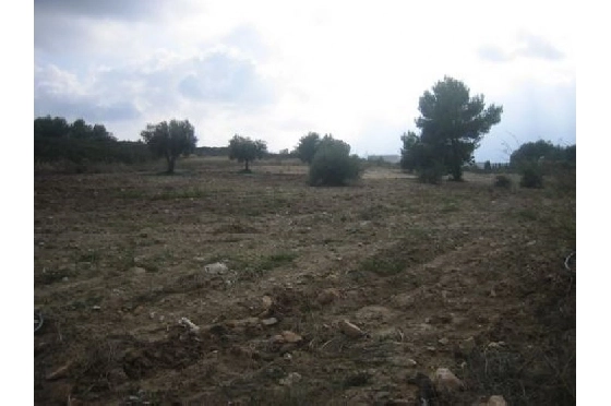 Finca in Benissa(Partida Canor) zu verkaufen, Living area 60 m², Klimaanlage, Plot 17000 m², Pool, ref.: BI-BE.F-163-4