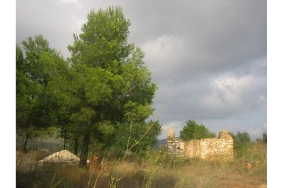 Finca in Benissa(Partida Canor) zu verkaufen, Living area 60 m², Klimaanlage, Plot 17000 m², Pool, ref.: BI-BE.F-163-8