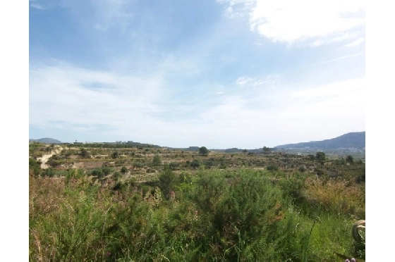 Wohngrundstück in Teulada(Partida Churra) zu verkaufen, Klimaanlage, Plot 14000 m², Pool, ref.: BI-MT.G-183-4