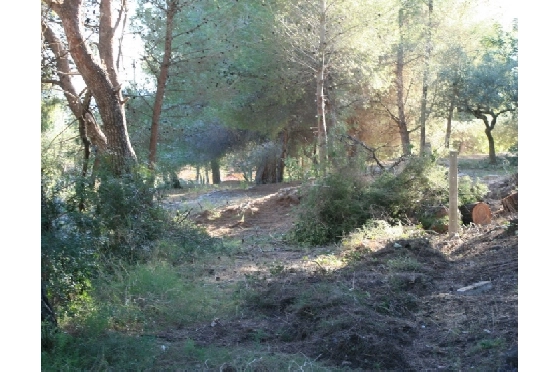 Wohngrundstück in Benitachell(Campo) zu verkaufen, Klimaanlage, Plot 10723 m², Pool, ref.: BI-BX.G-011-4