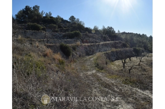 Wohngrundstück in Benissa zu verkaufen, Klimaanlage, Plot 12465 m², Pool, ref.: MV-2349-10