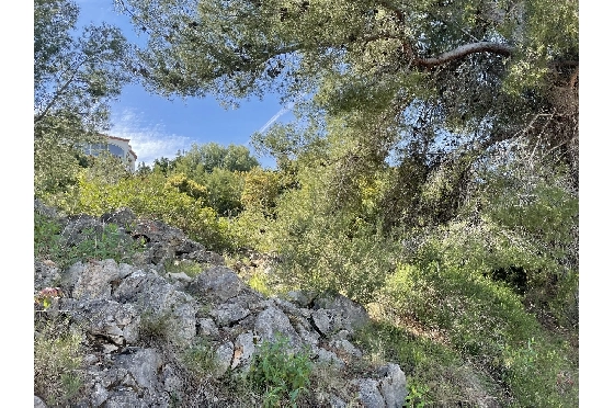 Wohngrundstück in Pego(Monte Pego) zu verkaufen, Plot 1603 m², ref.: SC-D0821-5