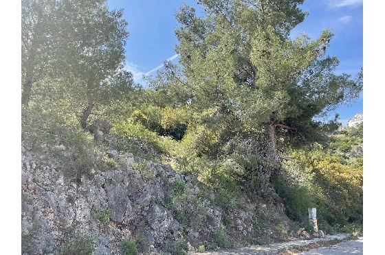 Wohngrundstück in Pego(Monte Pego) zu verkaufen, Plot 1603 m², ref.: SC-D0821-6