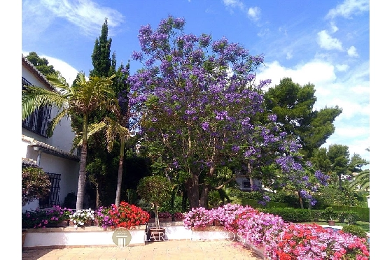 Villa in Javea zu verkaufen, Living area 500 m², + Zentralheizung, Klimaanlage, Plot 3000 m², 6 Schlafzimmer, 5 Badezimmer, Pool, ref.: MV-2471-15