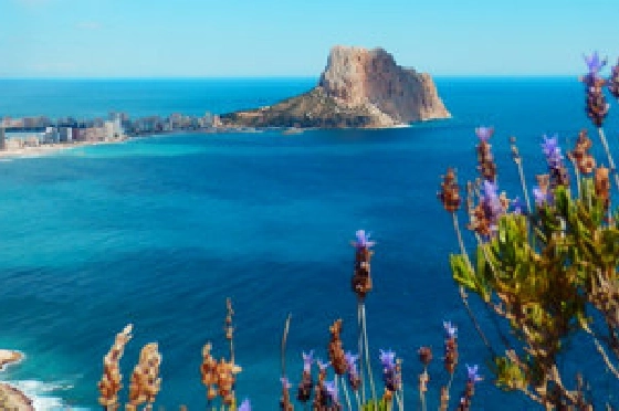 Wohngrundstück in Calpe zu verkaufen, Living area 17211 m², ref.: BS-4183355-5