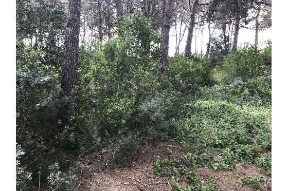 Wohngrundstück in Javea zu verkaufen, Living area 3514 m², ref.: BS-5275788-5