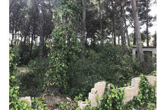 Wohngrundstück in Javea zu verkaufen, Living area 3514 m², ref.: BS-5275788-6