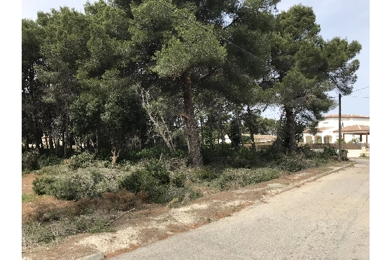 Wohngrundstück in Javea zu verkaufen, Living area 3514 m², ref.: BS-5275788-7