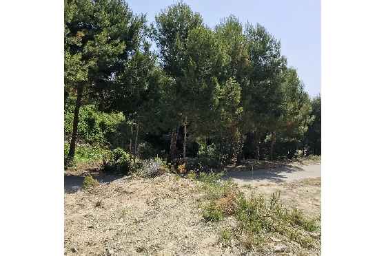 Wohngrundstück in Javea zu verkaufen, Living area 3737 m², ref.: BS-5513658-4