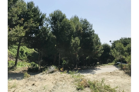 Wohngrundstück in Javea zu verkaufen, Living area 3737 m², ref.: BS-5513658-7