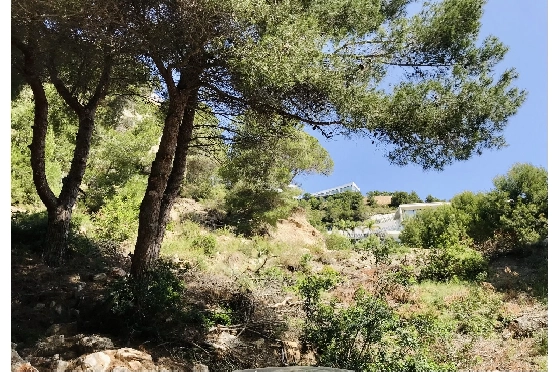 Wohngrundstück in Javea zu verkaufen, Living area 3737 m², ref.: BS-5513658-9