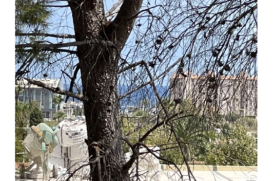 Wohngrundstück in Javea zu verkaufen, Living area 1642 m², ref.: BS-5923950-1