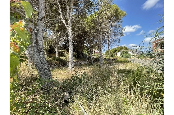 Wohngrundstück in Javea zu verkaufen, Living area 1642 m², ref.: BS-5923950-8