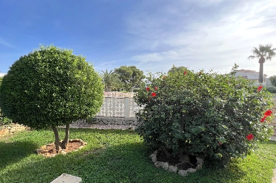 Villa in Javea zu verkaufen, Living area 180 m², Baujahr 1991, Zustand gepflegt, + Zentralheizung, Klimaanlage, Plot 1013 m², 3 Schlafzimmer, 2 Badezimmer, Pool, ref.: AS-4222-29