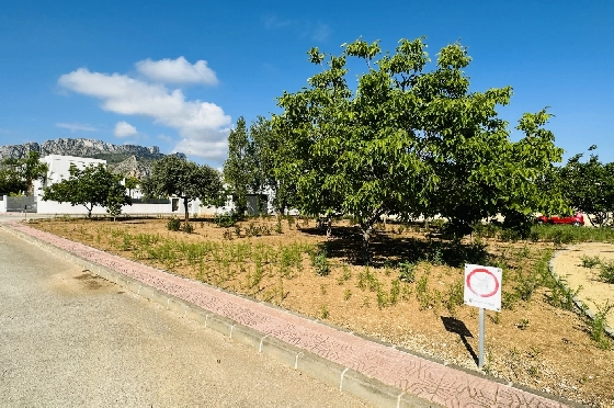Wohngrundstück in Els Poblets zu verkaufen, Plot 990 m², ref.: AS-0723-9