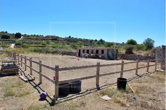 Wohngrundstück in Benissa zu verkaufen, Plot 11141 m², ref.: NL-NLD1495-1