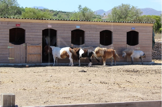 Wohngrundstück in Benissa zu verkaufen, Plot 11141 m², ref.: NL-NLD1495-2