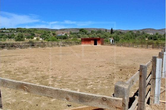 Wohngrundstück in Benissa zu verkaufen, Plot 11141 m², ref.: NL-NLD1495-5