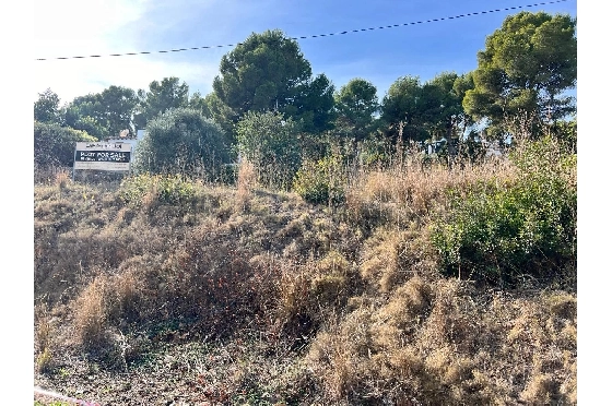 Wohngrundstück in Benissa zu verkaufen, Living area 2501 m², ref.: BS-84197951-2