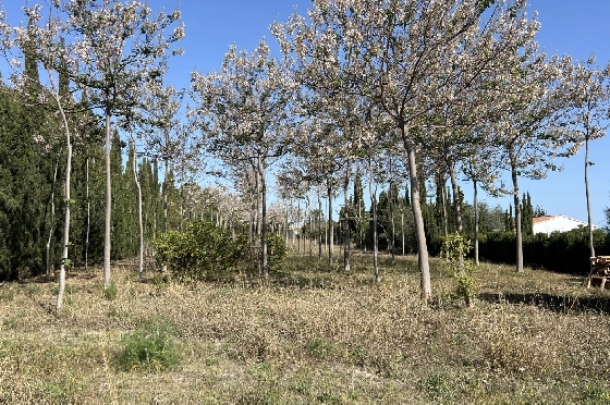Finca in Pedreguer zu verkaufen, Living area 400 m², + KLIMA, Plot 12000 m², 2 Schlafzimmer, 2 Badezimmer, ref.: JS-0624-14