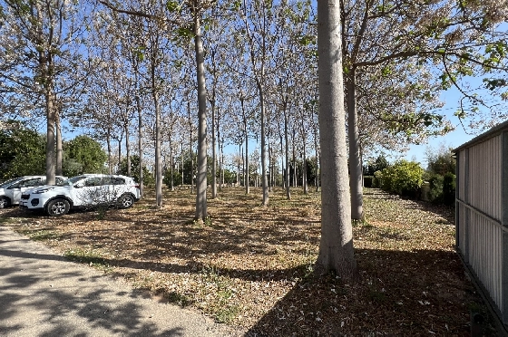 Finca in Pedreguer zu verkaufen, Living area 400 m², + KLIMA, Plot 12000 m², 2 Schlafzimmer, 2 Badezimmer, ref.: JS-0624-38