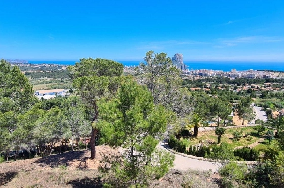Wohngrundstück in Calpe zu verkaufen, Klimaanlage, Plot 5150 m², Pool, ref.: AM-11749NS-1
