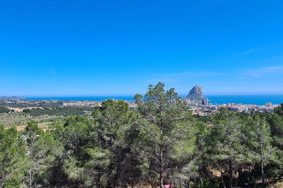Wohngrundstück in Calpe zu verkaufen, Klimaanlage, Plot 5150 m², Pool, ref.: AM-11749NS-2