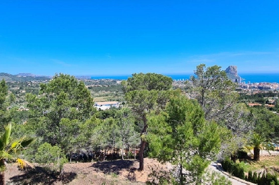 Wohngrundstück in Calpe zu verkaufen, Klimaanlage, Plot 5150 m², Pool, ref.: AM-11749NS-4