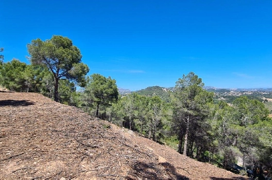Wohngrundstück in Calpe zu verkaufen, Klimaanlage, Plot 5150 m², Pool, ref.: AM-11749NS-8