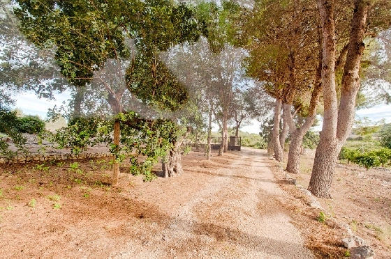 Finca in Gata de Gorgos zu verkaufen, Living area 450 m², Baujahr 1900, + Ofen, Klimaanlage, Plot 20000 m², 4 Schlafzimmer, 2 Badezimmer, Pool, ref.: AM-11846DA-14