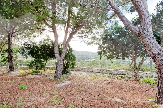 Finca in Gata de Gorgos zu verkaufen, Living area 450 m², Baujahr 1900, + Ofen, Klimaanlage, Plot 20000 m², 4 Schlafzimmer, 2 Badezimmer, Pool, ref.: AM-11846DA-19
