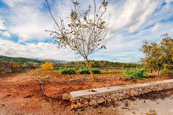 Finca in Gata de Gorgos zu verkaufen, Living area 450 m², Baujahr 1900, + Ofen, Klimaanlage, Plot 20000 m², 4 Schlafzimmer, 2 Badezimmer, Pool, ref.: AM-11846DA-20