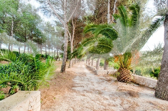 Finca in Gata de Gorgos zu verkaufen, Living area 450 m², Baujahr 1900, + Ofen, Klimaanlage, Plot 20000 m², 4 Schlafzimmer, 2 Badezimmer, Pool, ref.: AM-11846DA-22