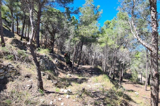 Wohngrundstück in Calpe zu verkaufen, Klimaanlage, Plot 2500 m², Pool, ref.: AM-11750NS-4