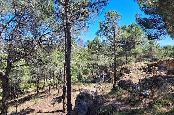Wohngrundstück in Calpe zu verkaufen, Klimaanlage, Plot 2500 m², Pool, ref.: AM-11750NS-5