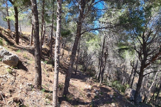 Wohngrundstück in Calpe zu verkaufen, Klimaanlage, Plot 2500 m², Pool, ref.: AM-11750NS-6