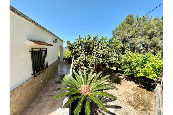 Finca in Pego zu verkaufen, Living area 45 m², Baujahr 1985, + Ofen, Klimaanlage, Plot 4600 m², 2 Schlafzimmer, 1 Badezimmer, Pool, ref.: O-V94614-19