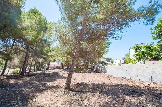 Wohngrundstück in Moraira zu verkaufen, Klimaanlage, Plot 2177 m², Pool, ref.: AM-12200DA-10