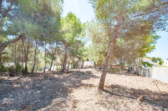 Wohngrundstück in Moraira zu verkaufen, Klimaanlage, Plot 2177 m², Pool, ref.: AM-12200DA-13