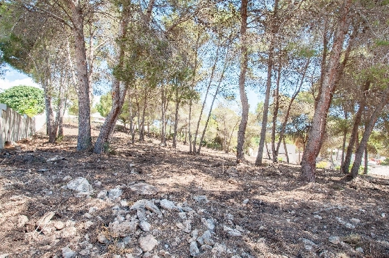 Wohngrundstück in Moraira zu verkaufen, Klimaanlage, Plot 2177 m², Pool, ref.: AM-12200DA-5