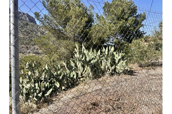 Wohngrundstück in Calpe zu verkaufen, Plot 1062 m², ref.: AS-1825-5