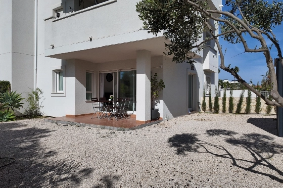 T-0225-2.webp