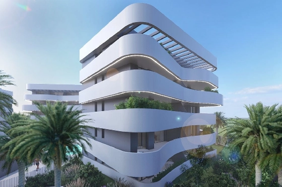 Penthouse Apartment in Guardamar del Segura zu verkaufen, Living area 97 m², Zustand Erstbezug, Klimaanlage, 2 Schlafzimmer, 2 Badezimmer, Pool, ref.: HA-GUN-431-A02-5