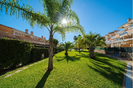 Apartment in Javea zu verkaufen, Living area 84 m², Klimaanlage, 2 Schlafzimmer, 1 Badezimmer, Pool, ref.: AVS-57484-16