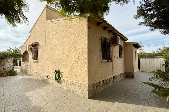 AS-0226-9.webp