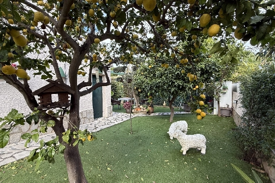 Villa in Els Poblets zu verkaufen, Living area 105 m², Baujahr 1990, + Zentralheizung, Klimaanlage, Plot 536 m², 2 Schlafzimmer, 2 Badezimmer, Pool, ref.: JS-0326-24